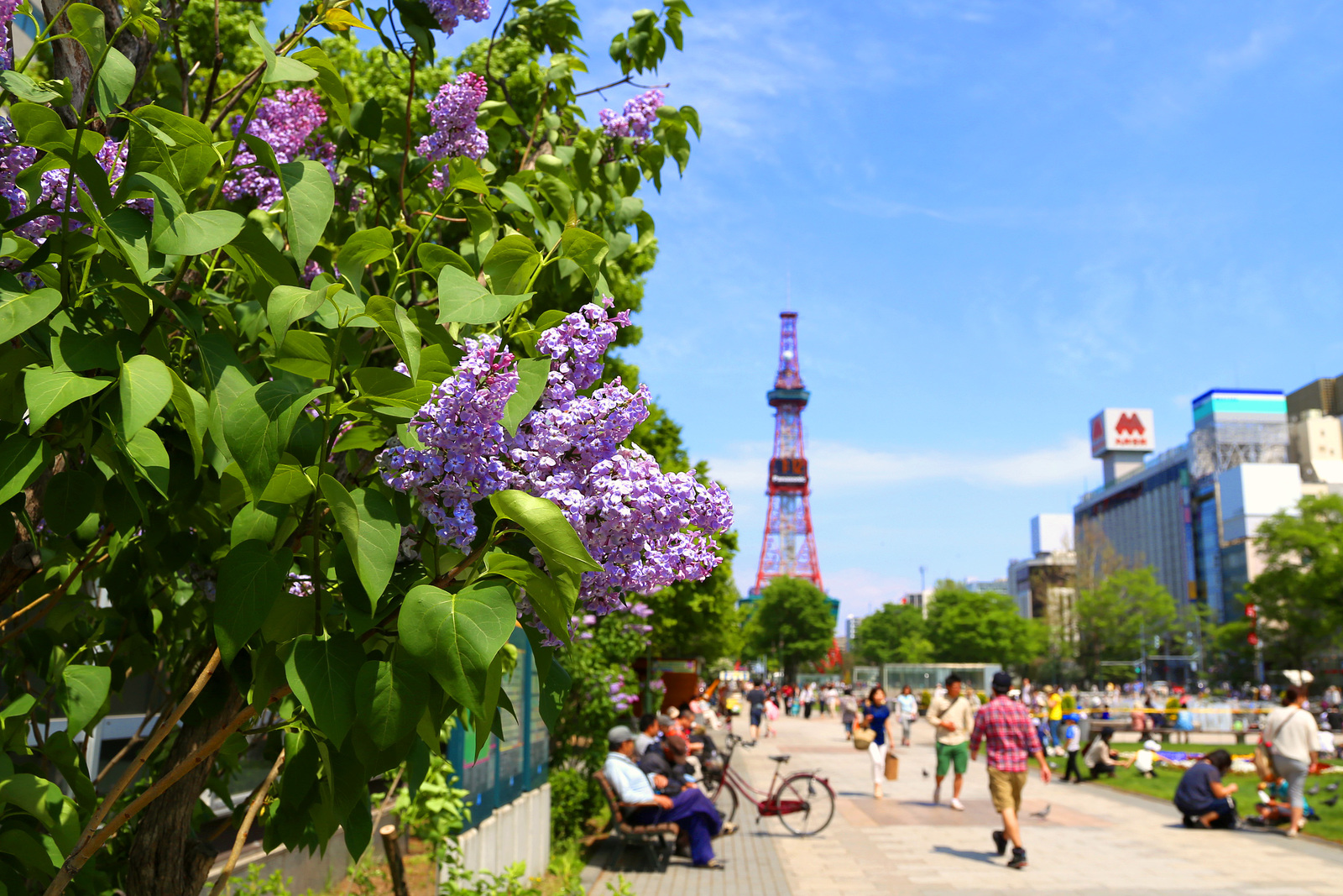 札幌ビューホテル大通公園 【ベーシック】VIEW　STAY　自然を食べよう。季節を食べよう。＜北海道の大地をまるごと食べる朝食付＞