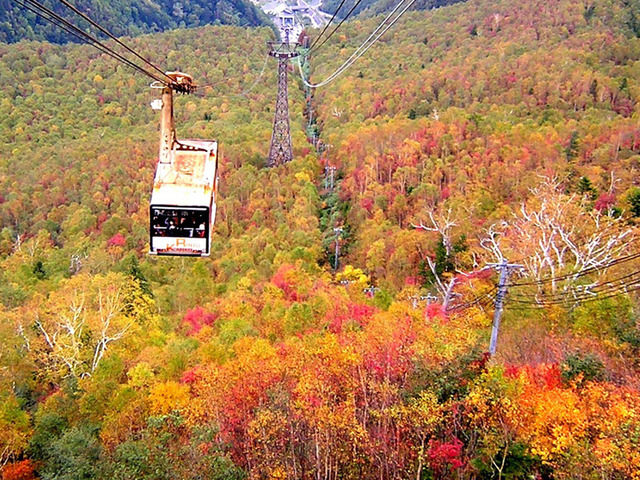 層雲峡朝陽亭 【黒岳ロープウェイ券付】四季折々の黒岳を楽しむ～絶景の空中散歩！（026）