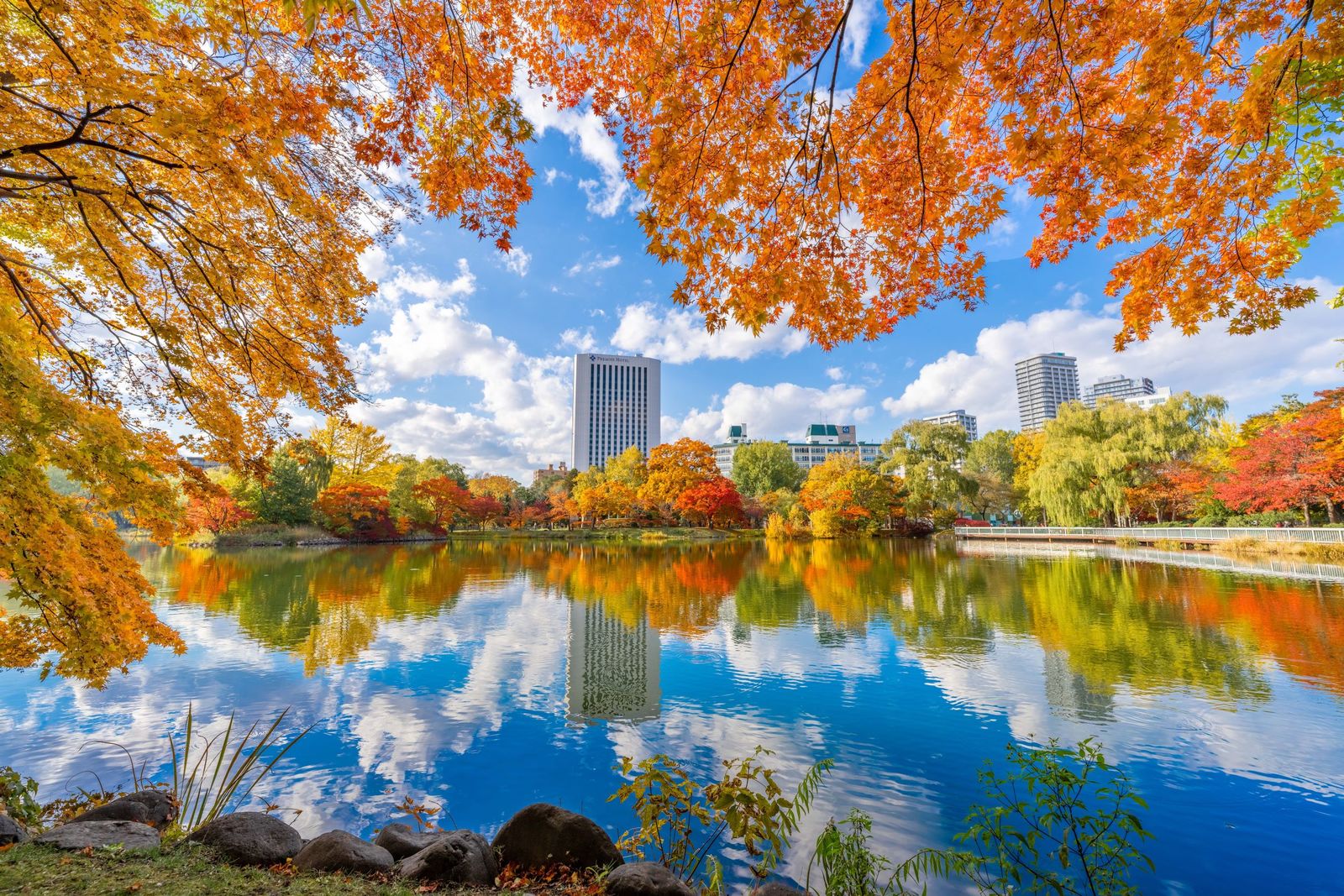 プレミアホテル 中島公園 札幌 【早期割75】75日前迄のご予約にオススメ♪／朝食なし