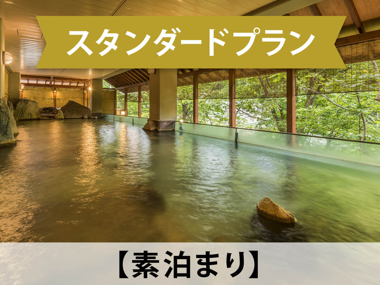 定山渓ビューホテル 【スタンダード／素泊まり】道内最大級の室内温水プールと最上階絶景露天を大満喫！