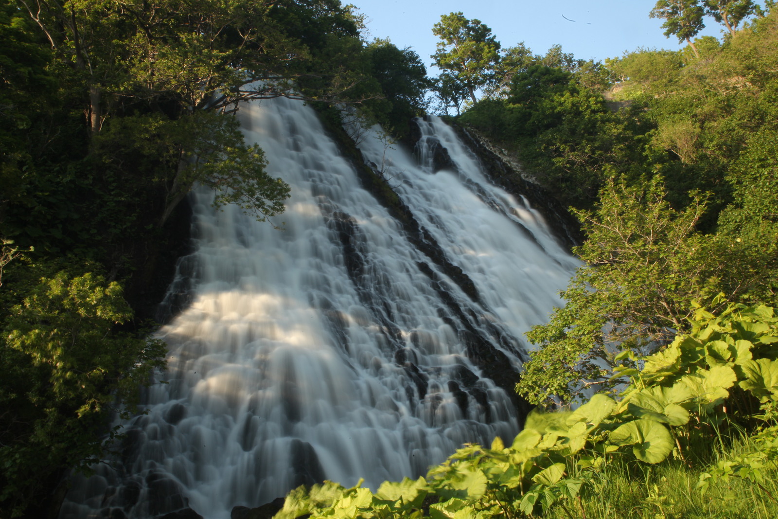 ホテル知床 【写真旅♪】写真愛好家集合！知床の自然いいトコ“撮り”あなたの画像をホテル公式SNS掲載 ☆夕食はフリードリンク付きバイキング☆1泊2食付☆彡
