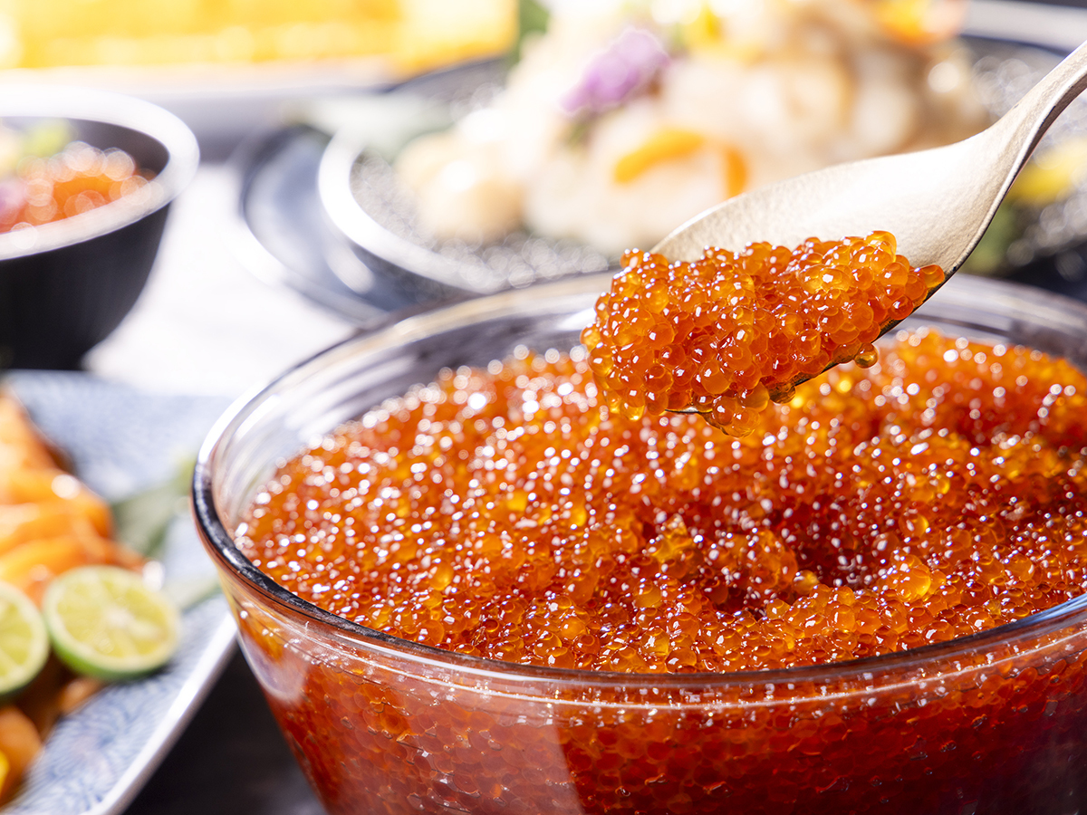 ホテルグレイスリー札幌 【連泊：朝食付】2泊以上で＜宿泊料最大20%OFF！＞海鮮・スープカレーほか北海道グルメまるごと堪能！