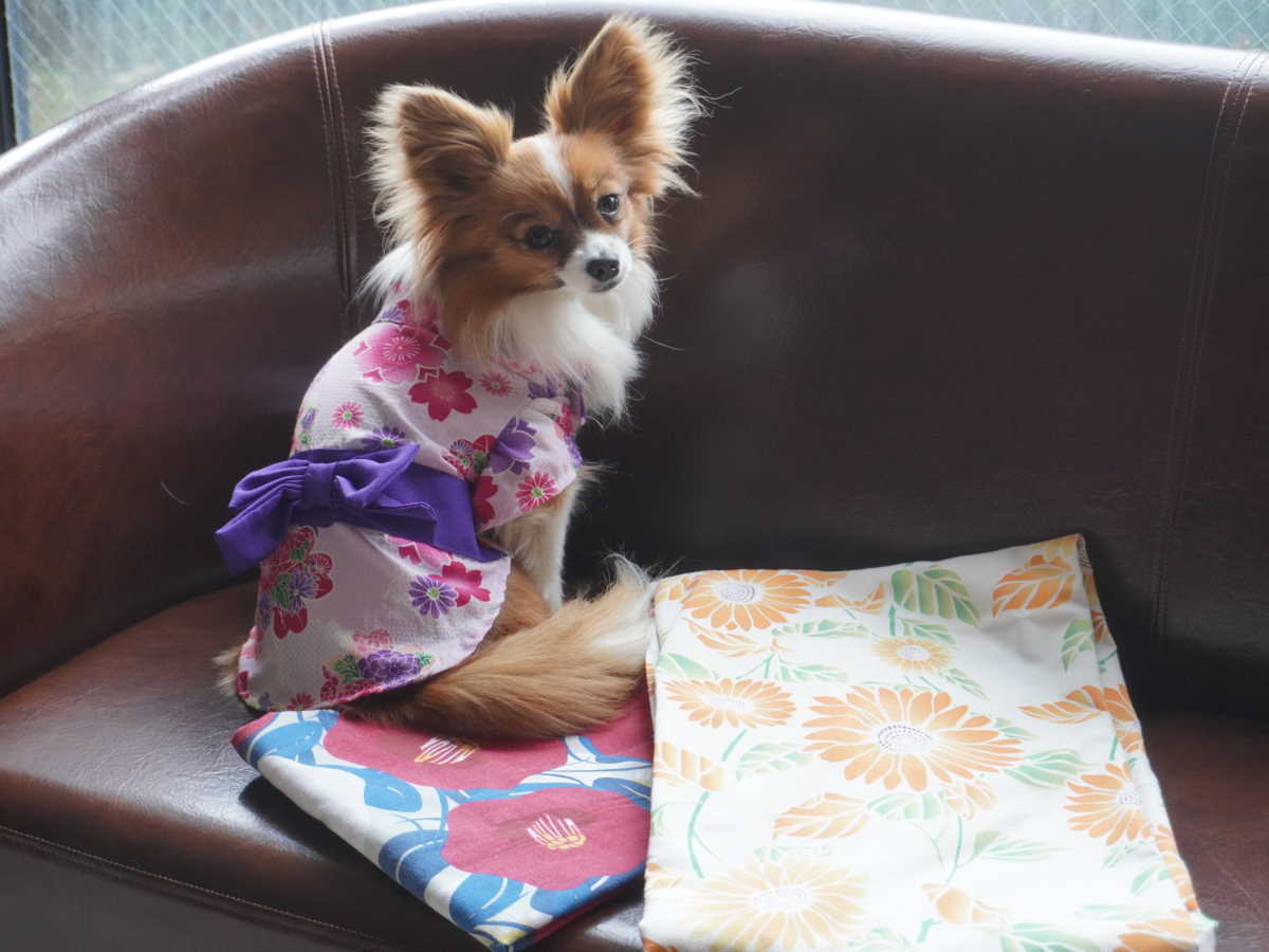 ゆとりろ洞爺湖 【早期割21】愛犬と一緒∪・ω・∪愛犬0円＆1名様3300円引き＜★スタンダード／部屋食＞