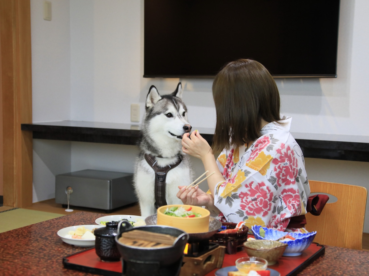 ゆとりろ洞爺湖 愛犬と一緒∪・ω・∪【スタンダード会席】火山が育てた地産食材を味わう＜★スタンダード／部屋食＞