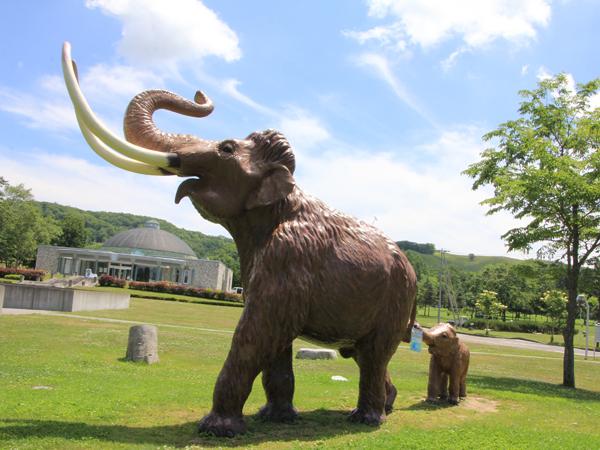 十勝ナウマン温泉 ホテルアルコ 【忠類ナウマン象記念館で歴史を学ぶ♪招待券付】十勝グレードアップ膳