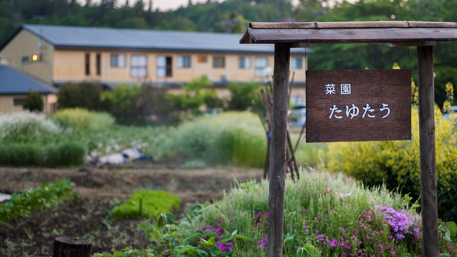 奥州平泉温泉 そば庵 しづか亭 １０畳和室マッサージチェア付＿自家菜園が臨める客室