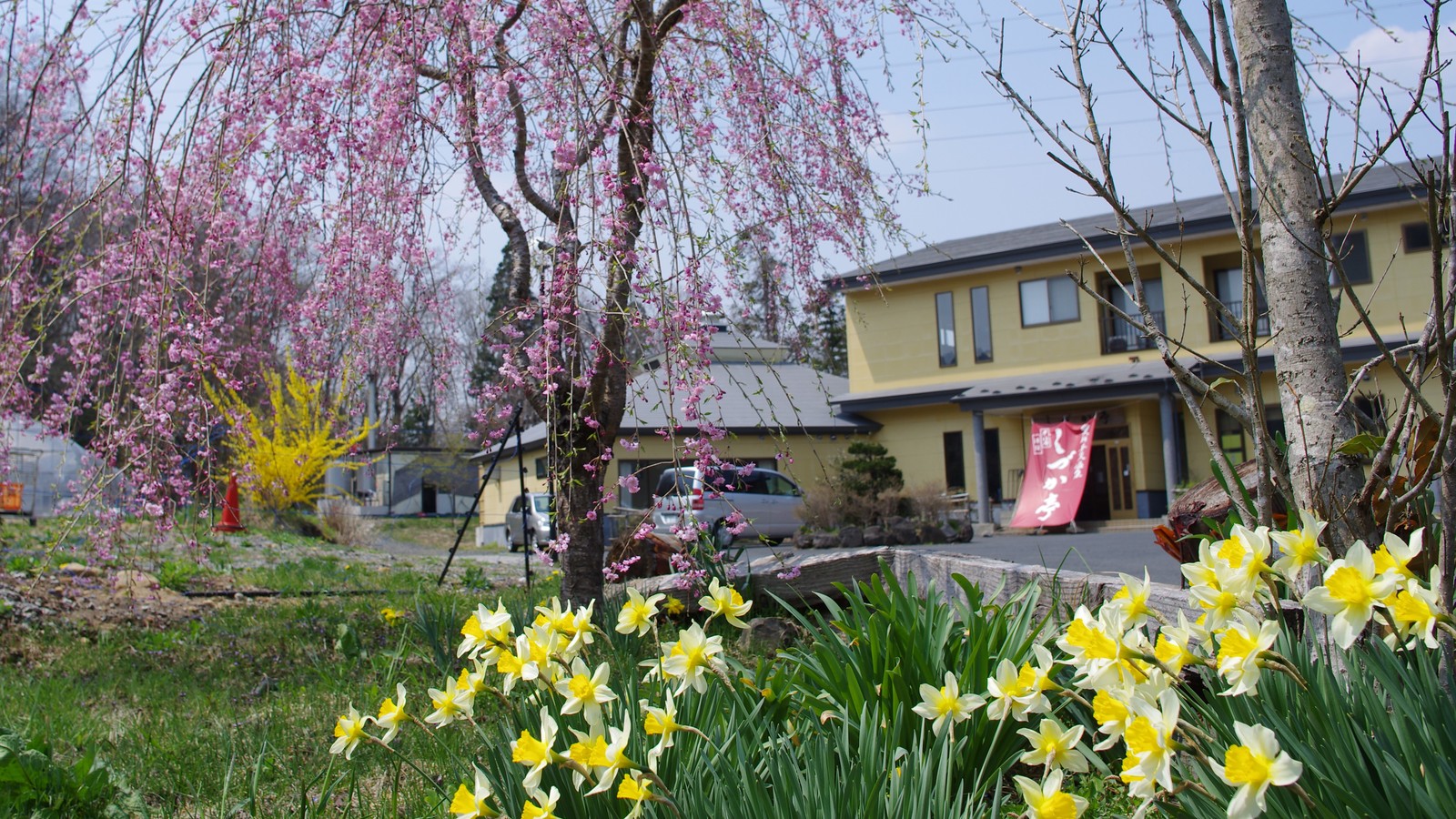 奥州平泉温泉 そば庵 しづか亭