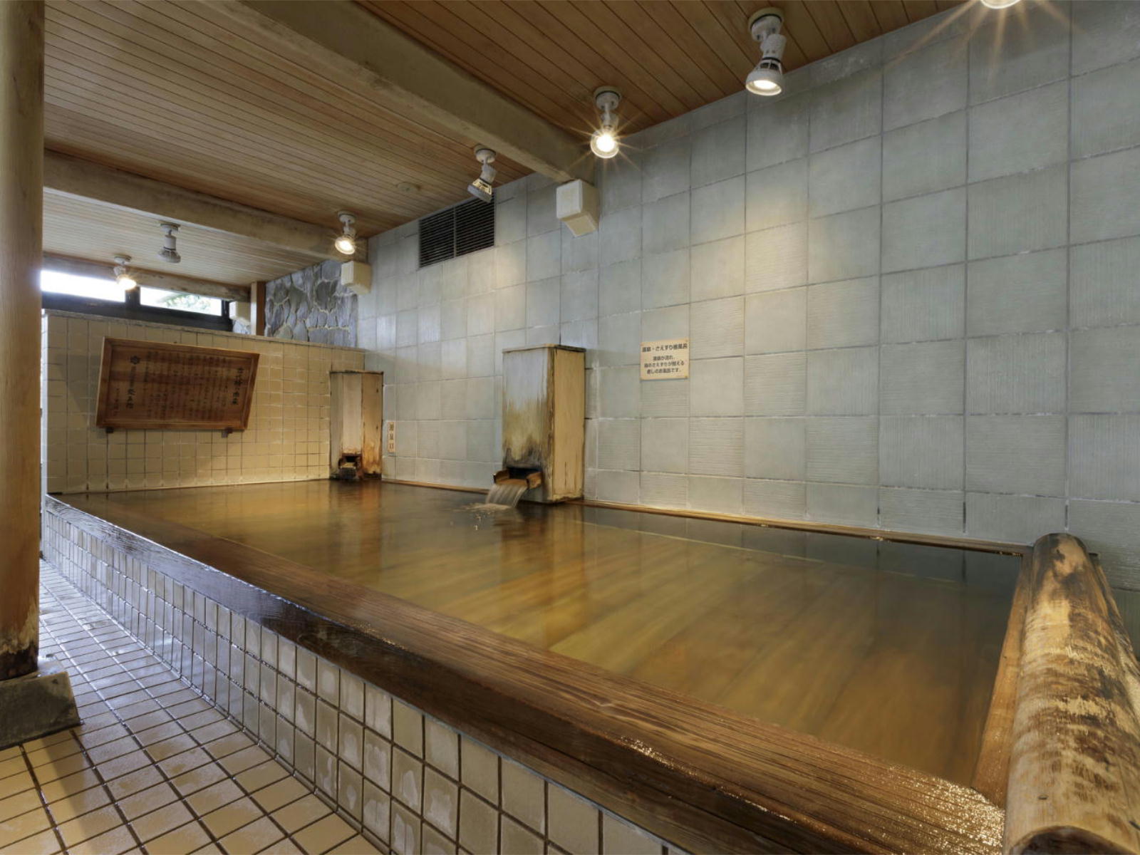 盛岡つなぎ温泉 愛真館 【5/29～7/17・今ならお得！】＜黒ひげ×ライト＞量控えめのお手軽コース／ドリンクインクルーシブ