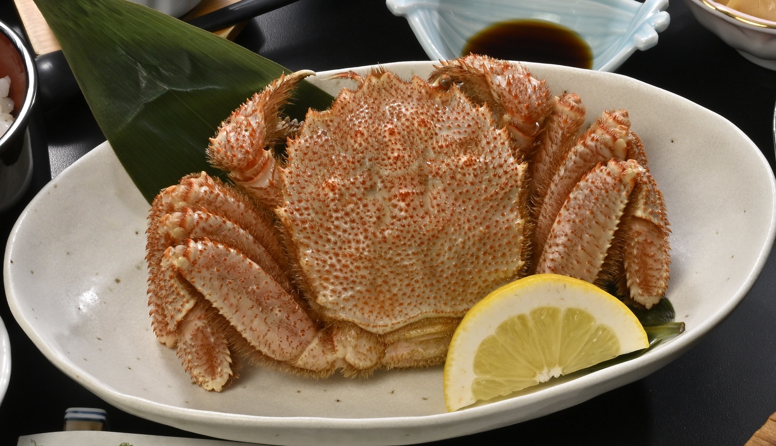 ホテル羅賀荘 ＜アワビ陶板焼き＆毛蟹付き＞【魚彩王国】お得な期間限定宿泊プラン