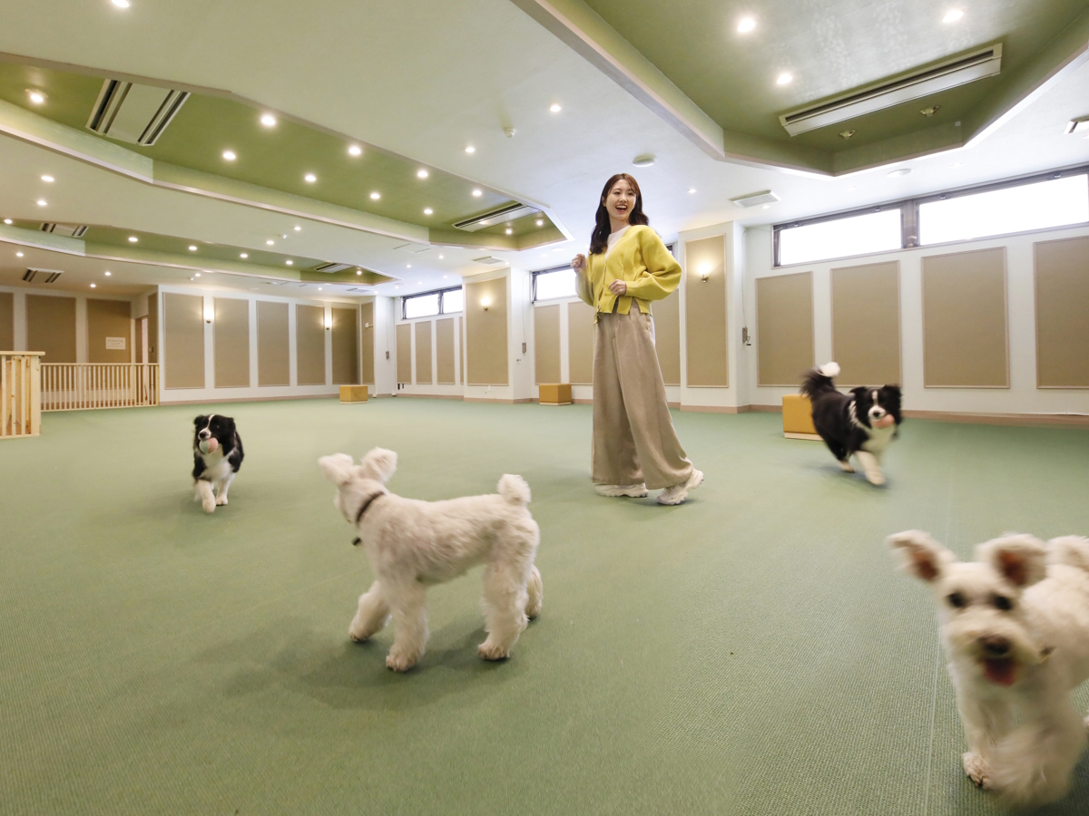 鶯宿温泉　ゆとりろ雫石 【早期割30×愛犬同伴OK】30日前までのご予約がお得／愛犬利用料無料の特典付き＜■特選会席＞