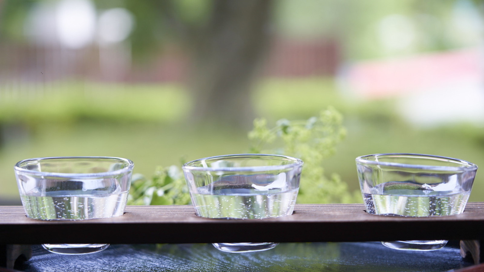 鳴子風雅 【ひとり旅】片道電車代サポート！自然豊かな鳴子で美食と温泉でリフレッシュ旅＜■特選会席＞