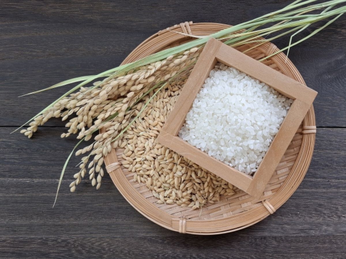 鳴子風雅 【冬季限定】お米のプレゼント＆2,200円引き！身も心も癒す温泉旅を満喫＜★スタンダード会席＞