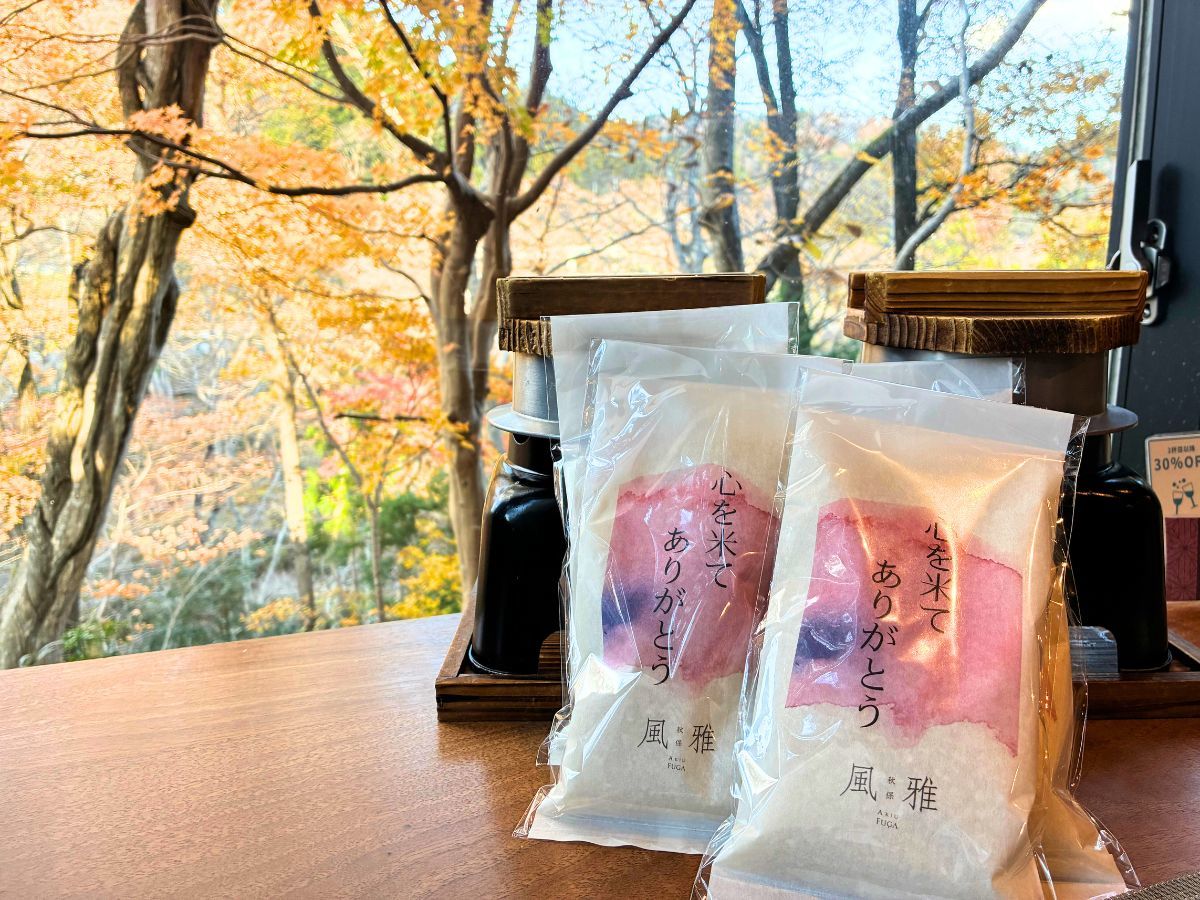 秋保風雅 【お米のお土産付き】冬季限定｜貸切サウナやBAR、〆パフェなどここでしか体験できない1日を＜基本会席★雅＞