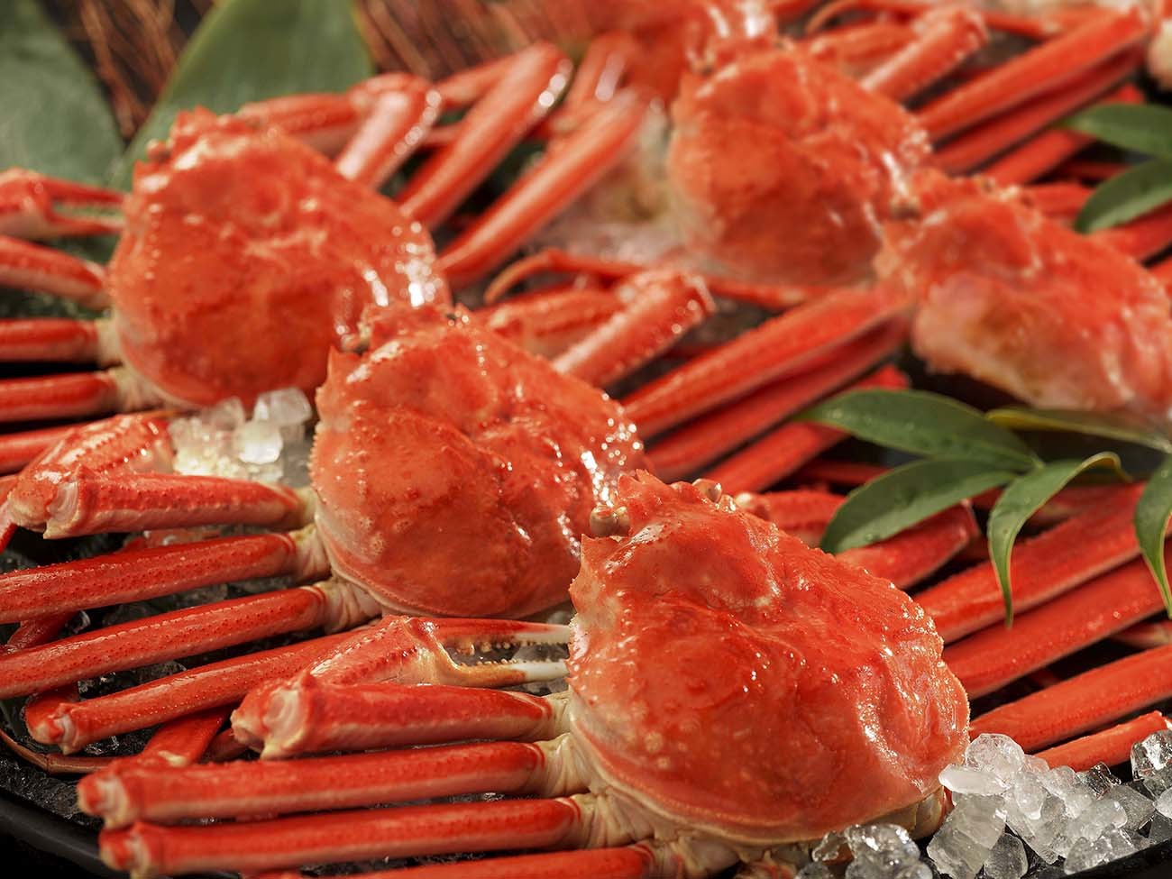 大江戸温泉物語 幸雲閣 【特定日】【グルメプラン】本ズワイガニ姿まるごと食べ放題付1泊2食 基本バイキングプラン