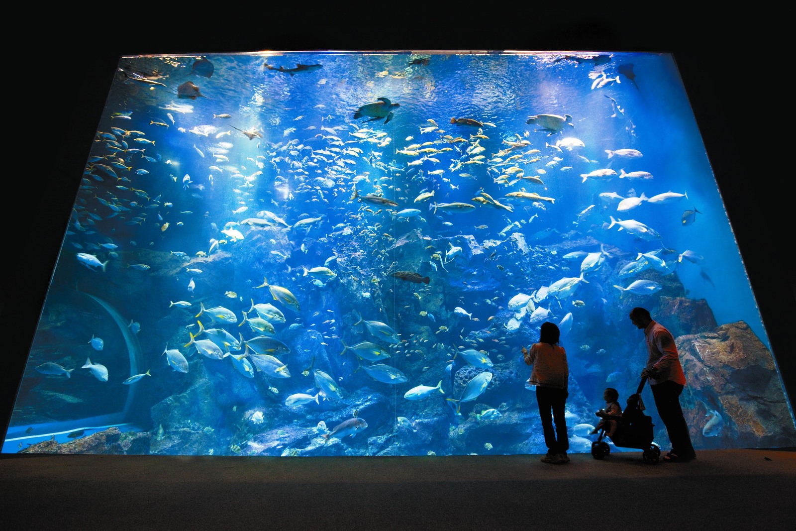 ホテルサンルーラル大潟 【1泊2食】男鹿水族館GAOチケット付♪みんな満足温泉旅行★