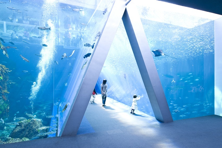 スパリゾートハワイアンズ　ウイルポート 【「環境水族館」アクアマリンふくしま１日入場券付】リゾートブッフェ！