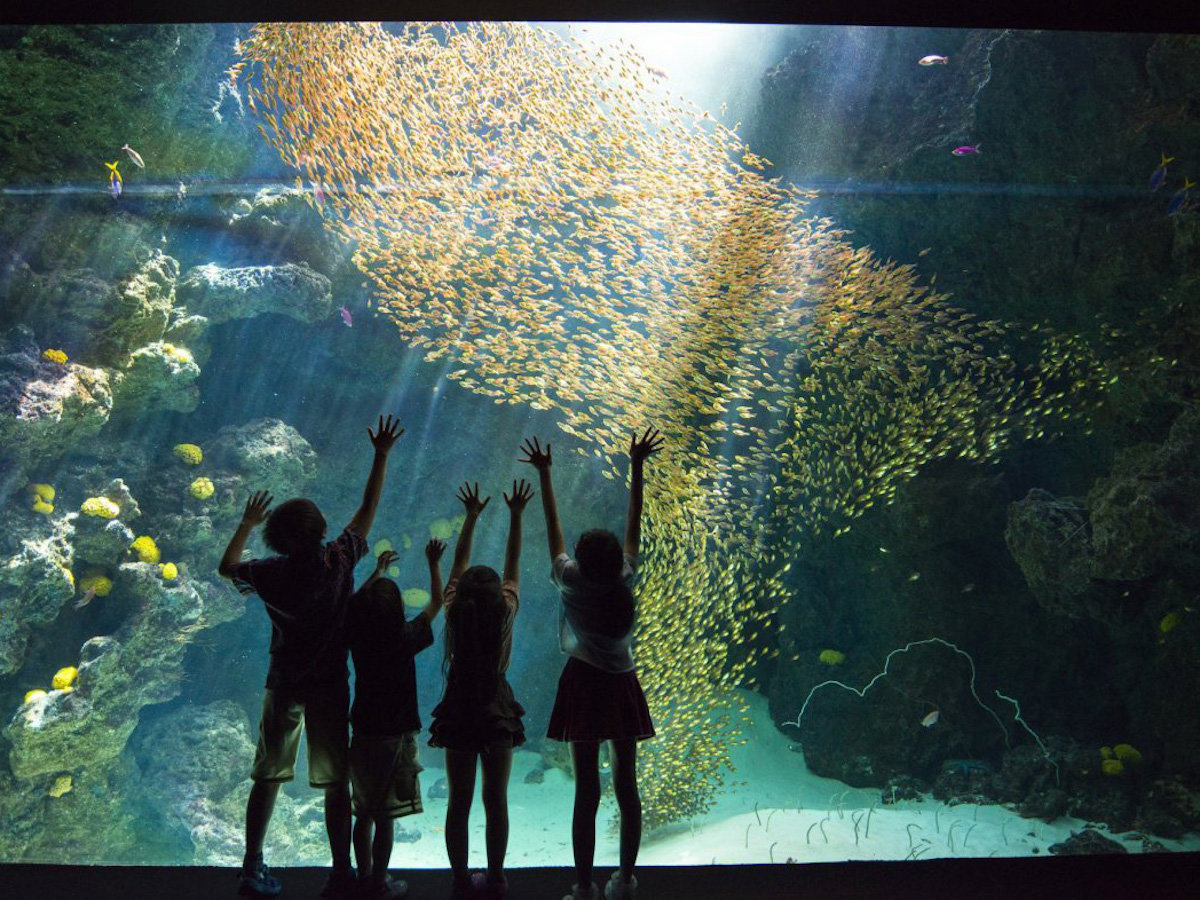 いわきワシントンホテル 【アクアマリンふくしま(水族館)入場券付】ご家族&カップル向け♪いわきのレジャーを満喫☆＜素泊まり＞