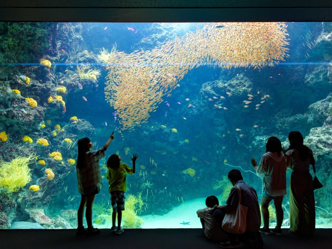 Ｊヴィレッジ 【約800種の生物と出会える人気の水族館♪】アクアマリンふくしま入館券付プラン＜夕朝食付＞