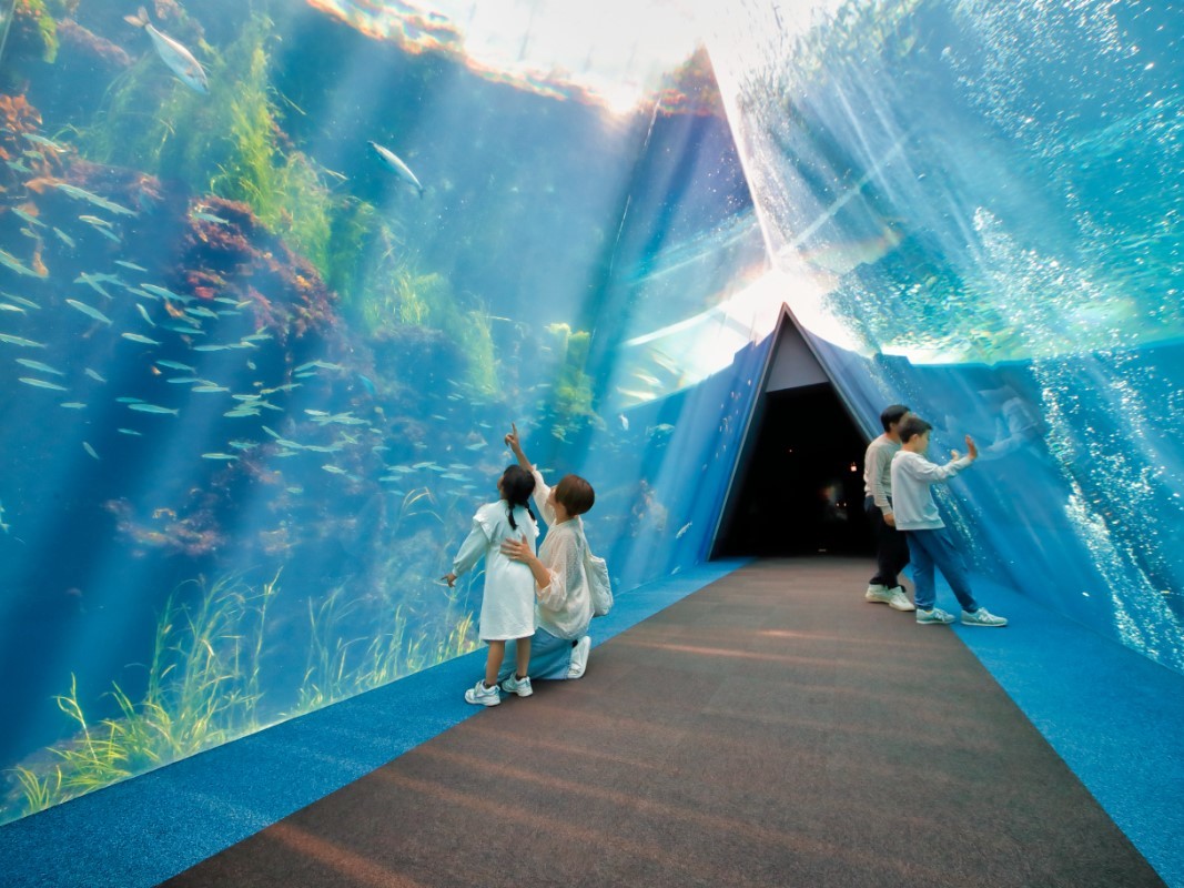 Ｊヴィレッジ 【約800種の生物と出会える人気の水族館♪】アクアマリンふくしま入館券付プラン＜素泊まり＞
