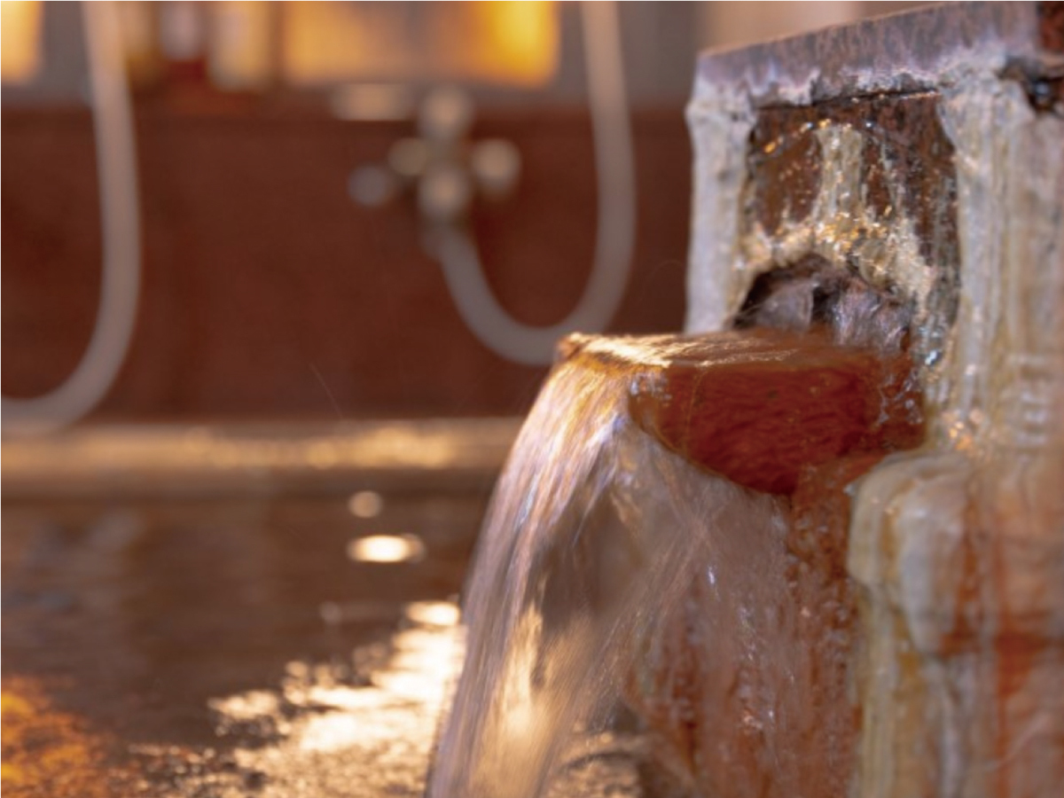 磐梯はやま温泉 猪苗代観光ホテル 【素泊まり】プラン