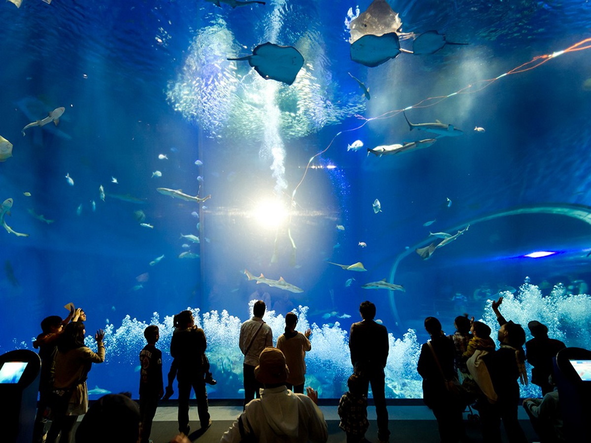 大洗パークホテル 【ヴィラ×水族館】海の近いヴィラでアクアワールドもおこもりアウトドアも満喫＜▽スタンダード＞