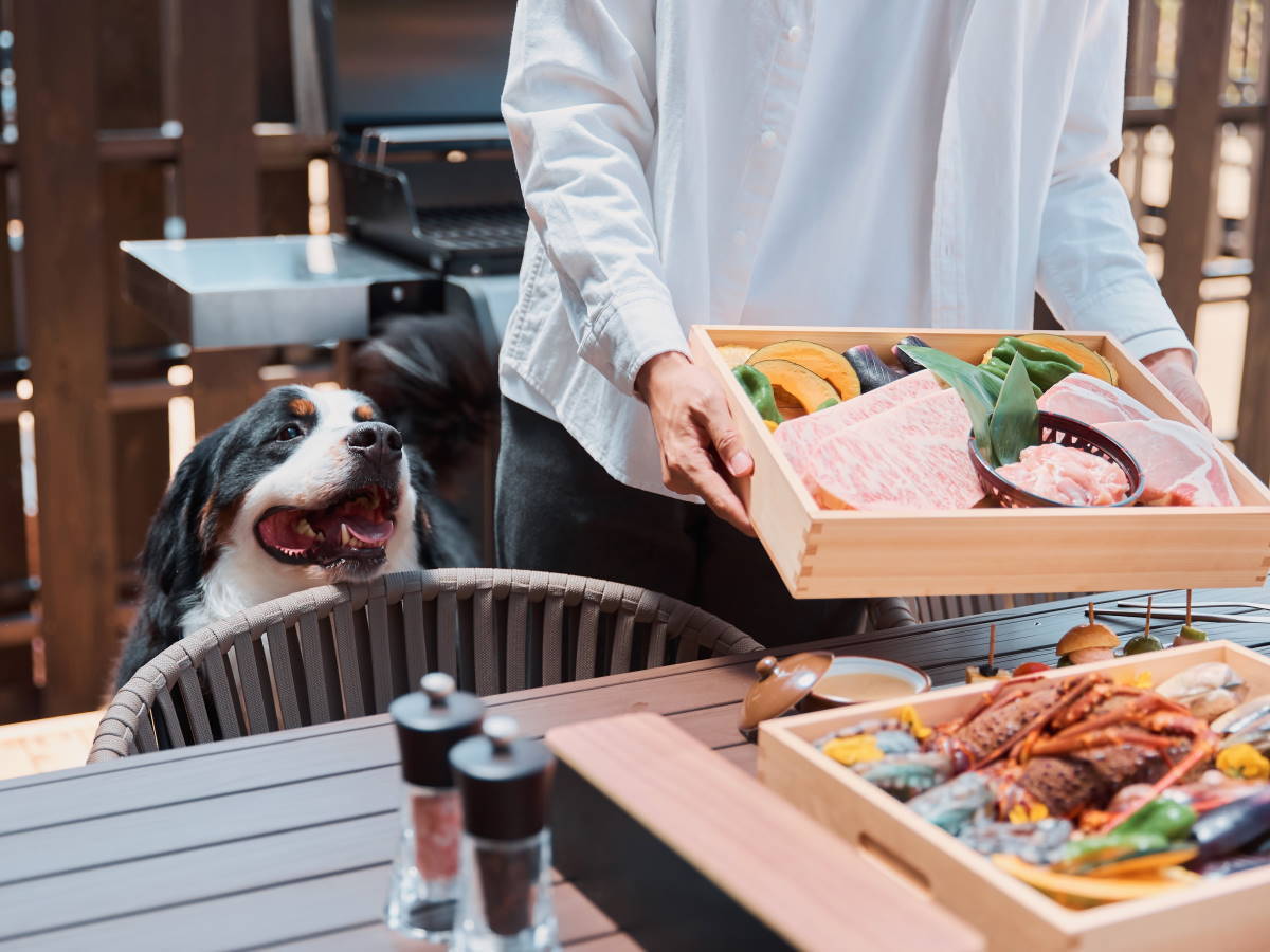 大洗パークホテル 【ドッグヴィラ×GW】愛犬とずっと一緒♪サウナ・温泉＋専用ドッグラン付きヴィラ＜GW特別コース＞