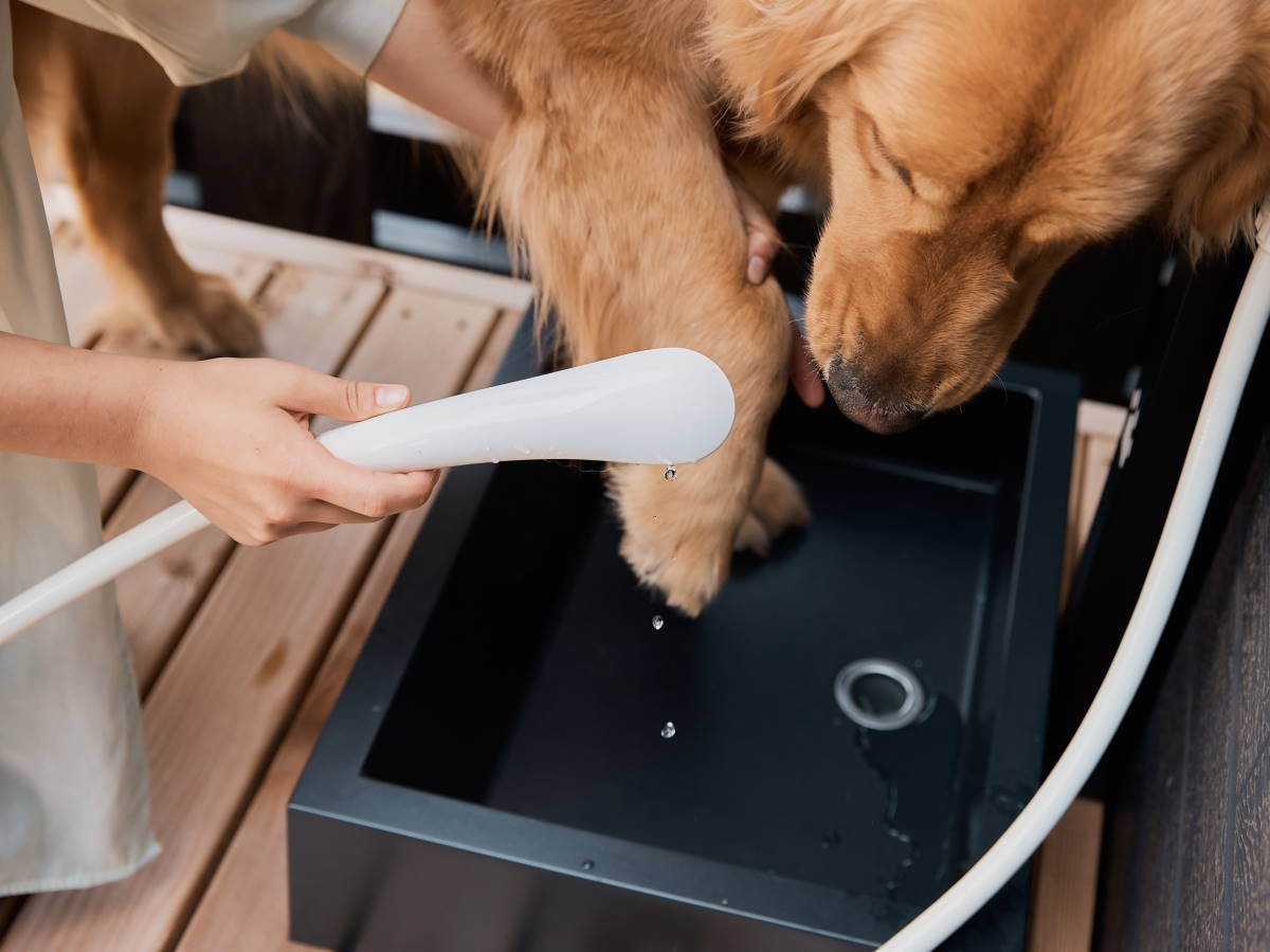 大洗パークホテル 【ドッグヴィラ×素泊まり】愛犬と一緒にプライベート重視のセレクト旅＜食事なし＞