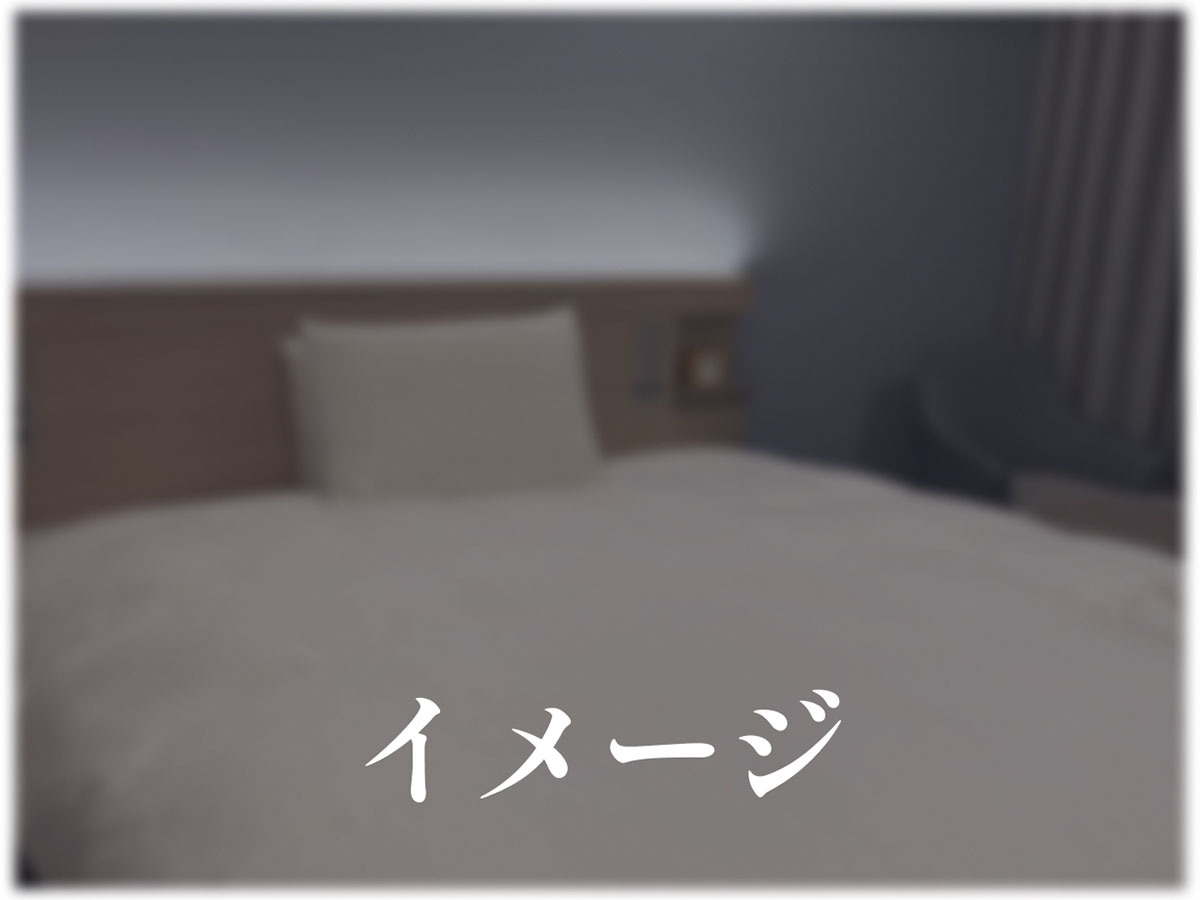 リッチモンドホテル宇都宮駅前アネックス スーペリアダブル（ベッド）