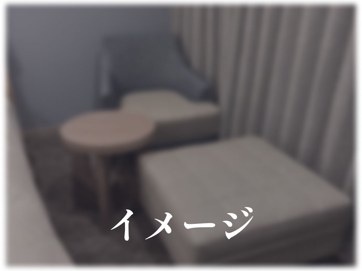 リッチモンドホテル宇都宮駅前アネックス スーペリアダブル（ソファ）