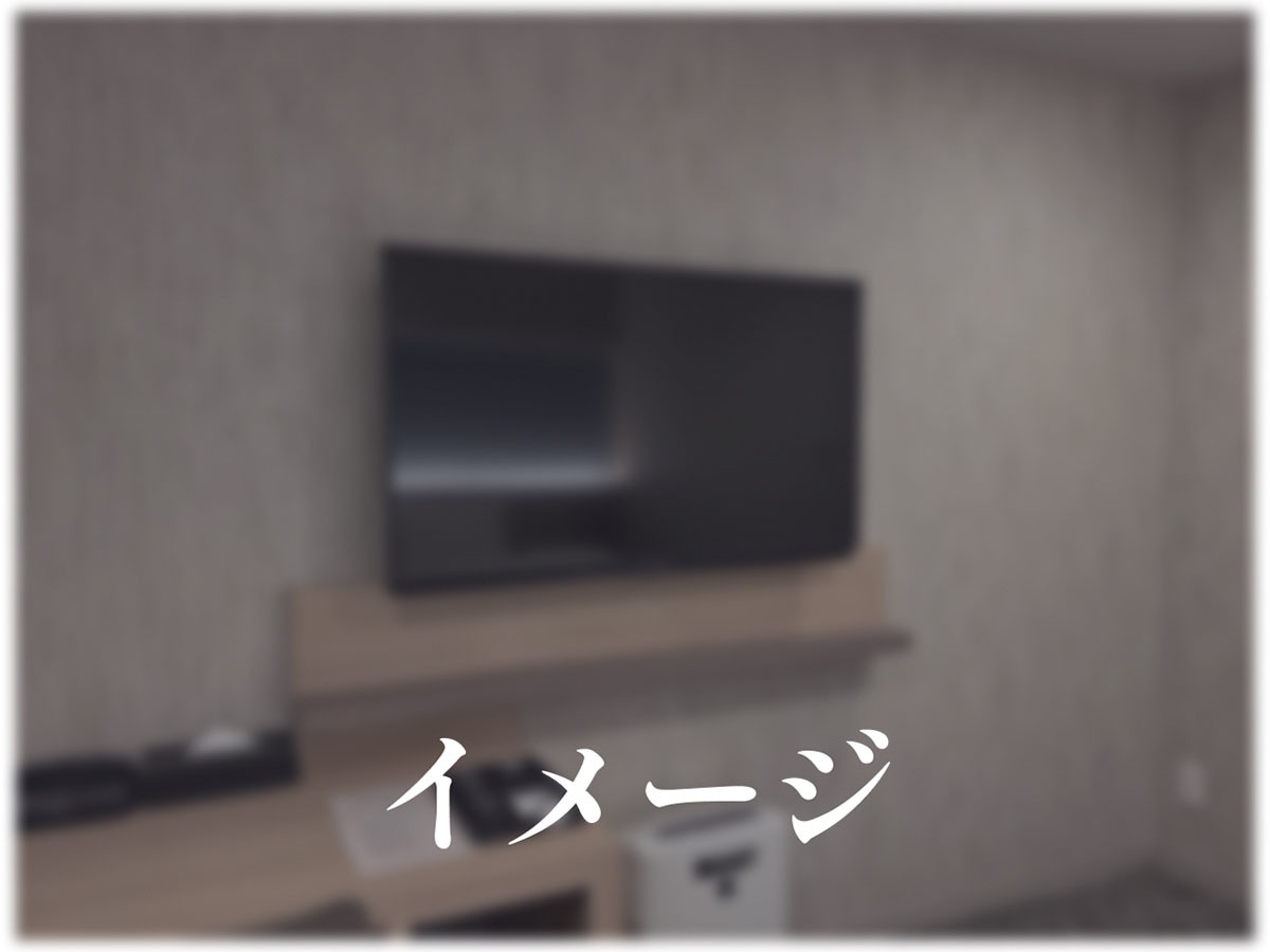 リッチモンドホテル宇都宮駅前アネックス スーペリアダブル（テレビ）