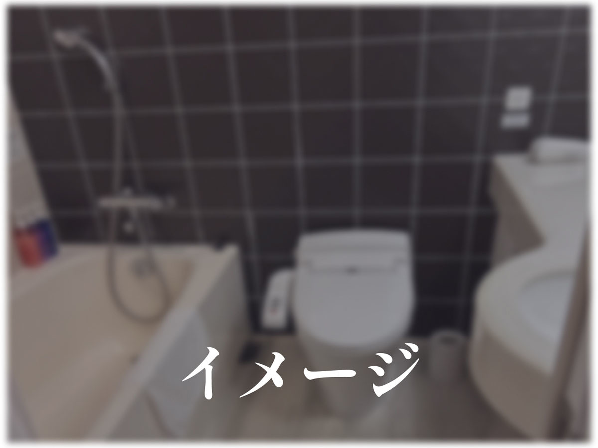 リッチモンドホテル宇都宮駅前アネックス スーペリアダブル（バス）