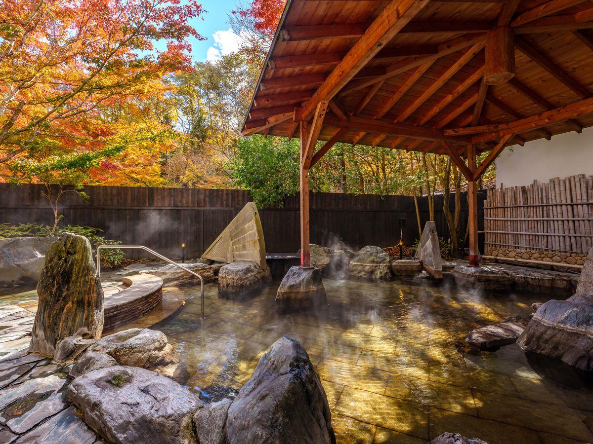 亀の井ホテル 日光湯西川 オールインクルーシブホテル 【スタンダード】美肌の湯とごちそう里山料理でのんびり温泉リゾートSTAY～オールインクルーシブ～