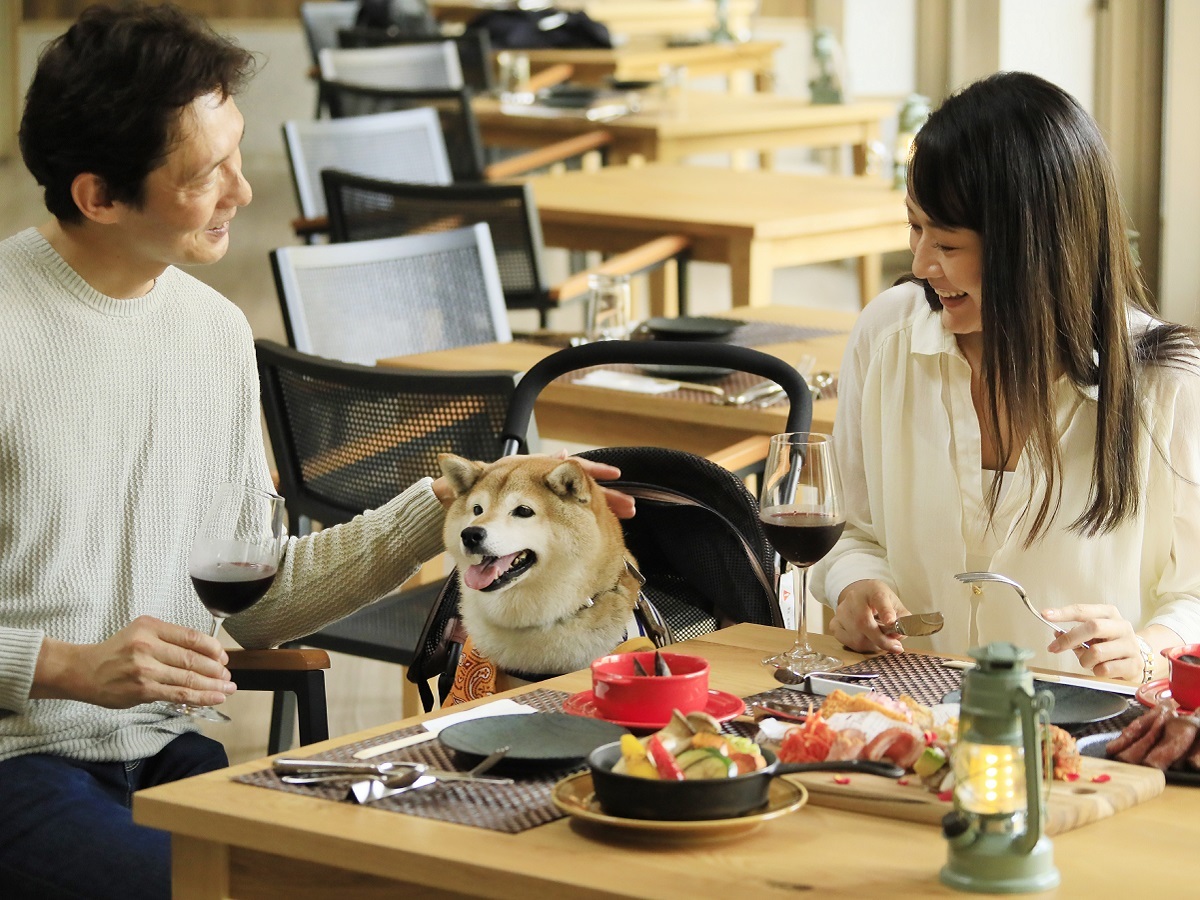 ゆとりろガーデン北軽井沢ホテルwithDOGS 【3周年記念】わんちゃんと北軽井沢を満喫する旅へ／日頃の感謝を込めた”3大特典付”＜基本コース★＞