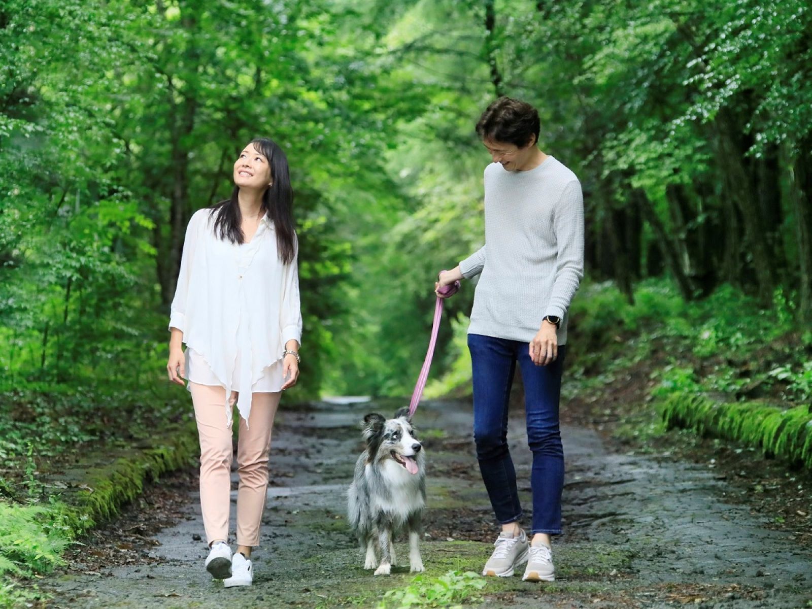 ゆとりろガーデン北軽井沢ホテルwithDOGS 【直前割×特選】直前のご予約で当館最上級プランをお得に愉しむ＜■特選コース＞