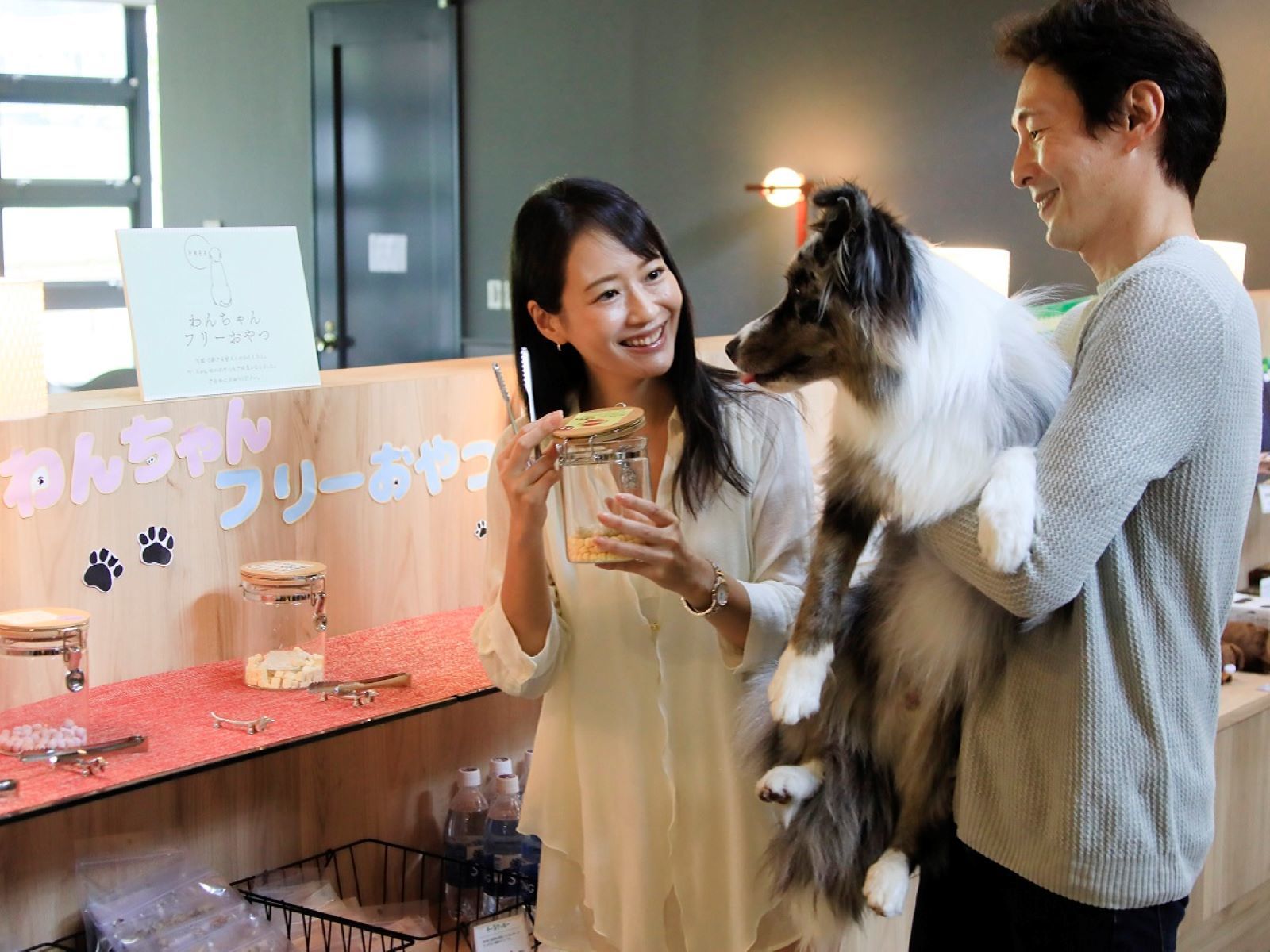ゆとりろガーデン北軽井沢ホテルwithDOGS 【直前割×基本プラン】直前のご予約もお得に！当館スタンダードプランを愛犬とお得に満喫＜★基本コース＞