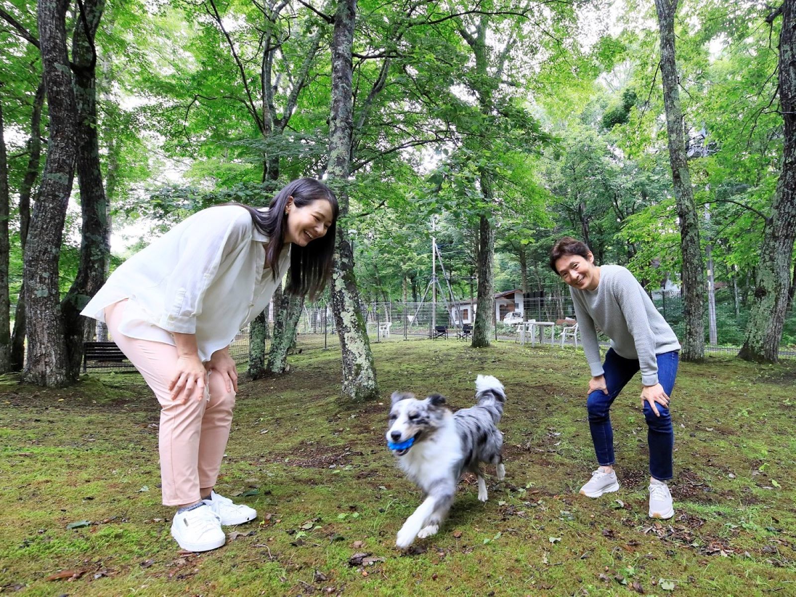 ゆとりろガーデン北軽井沢ホテルwithDOGS 【タイムセール】最大10%OFF！／お食事はほどよく、愛犬と気軽な高原旅行＜▼ライトコース＞