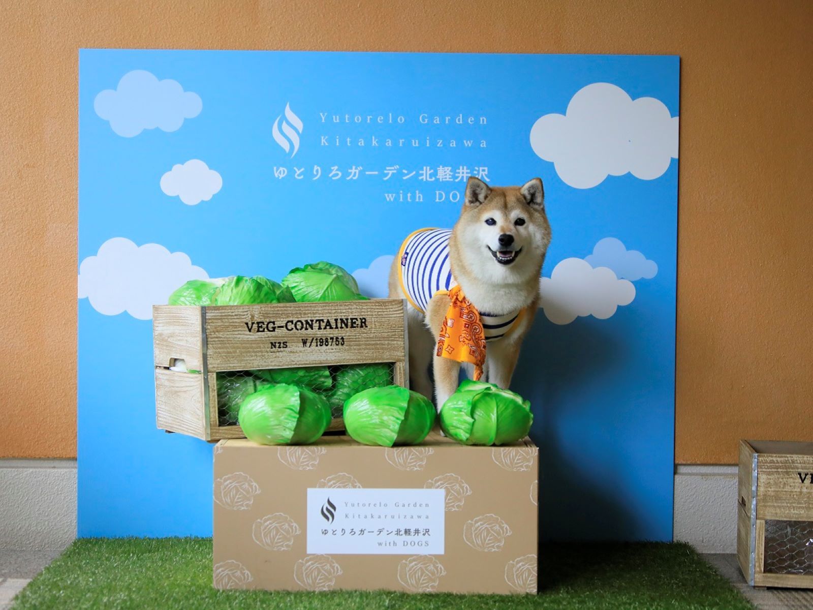 ゆとりろガーデン北軽井沢ホテルwithDOGS 【朝食付×ワンちゃん利用料無料】愛犬連れ旅応援！こだわりの洋朝食をお得に満喫＜朝食ハーフビュッフェ＞