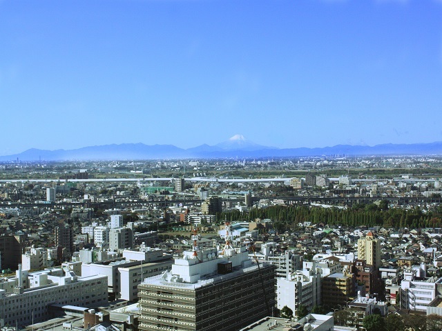 ロイヤルパインズホテル浦和 【早割30】 30日前までのご予約でお得にステイ！≪素泊まり≫