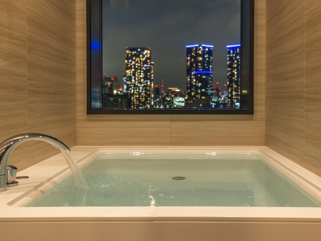 ラビスタ東京ベイ 部屋画像2