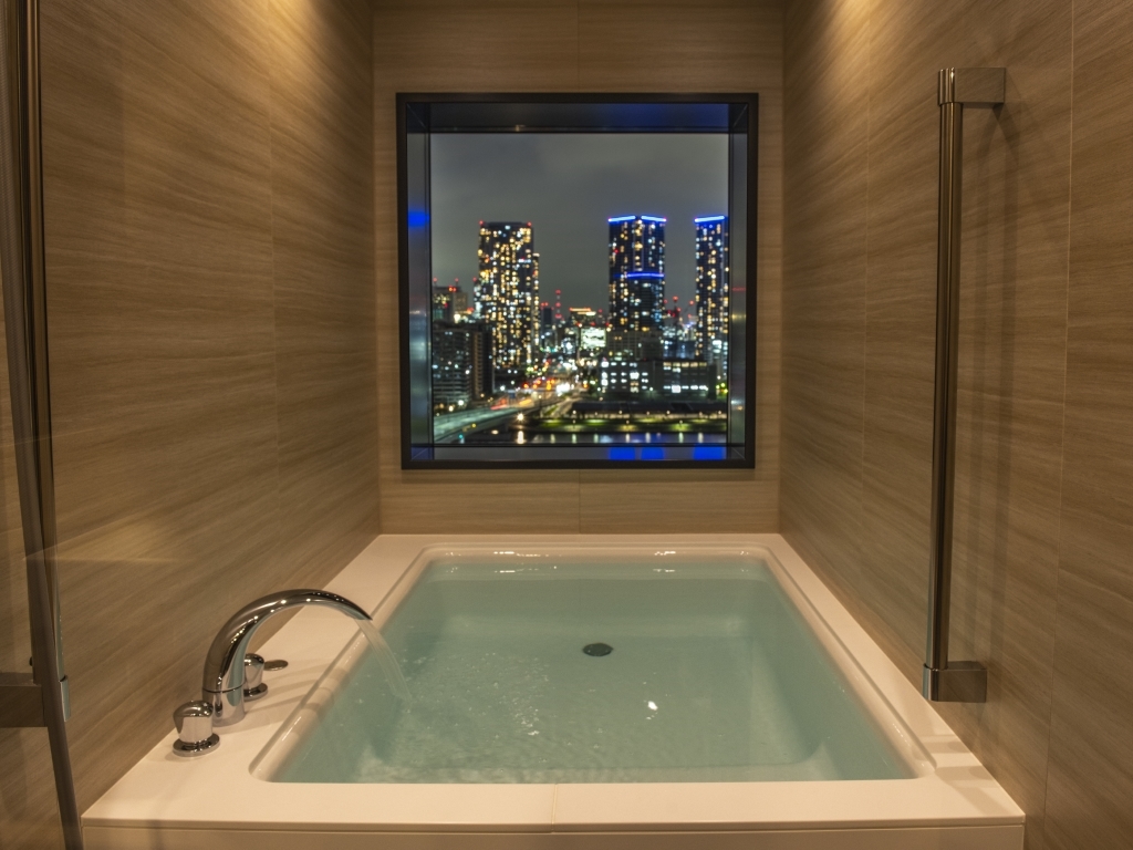 ラビスタ東京ベイ 部屋画像3