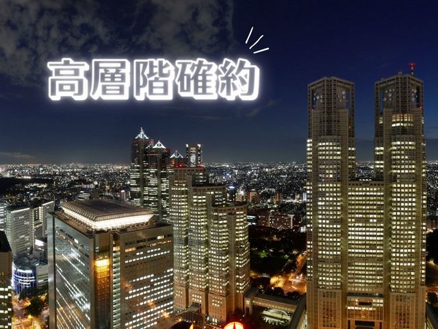 京王プラザホテル 【30階以上確約】STAY PLAN～Rich Illumination～（食事なし）