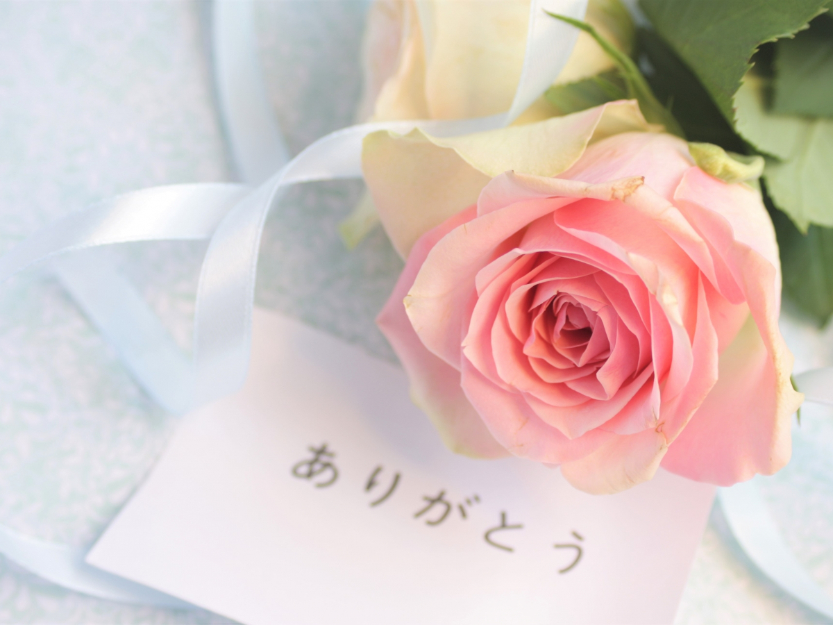 別邸今宵 【サンクスプラン】花束付き／大切な方へ、日頃のありがとうを伝えたい＜基本会席★月の雫＞