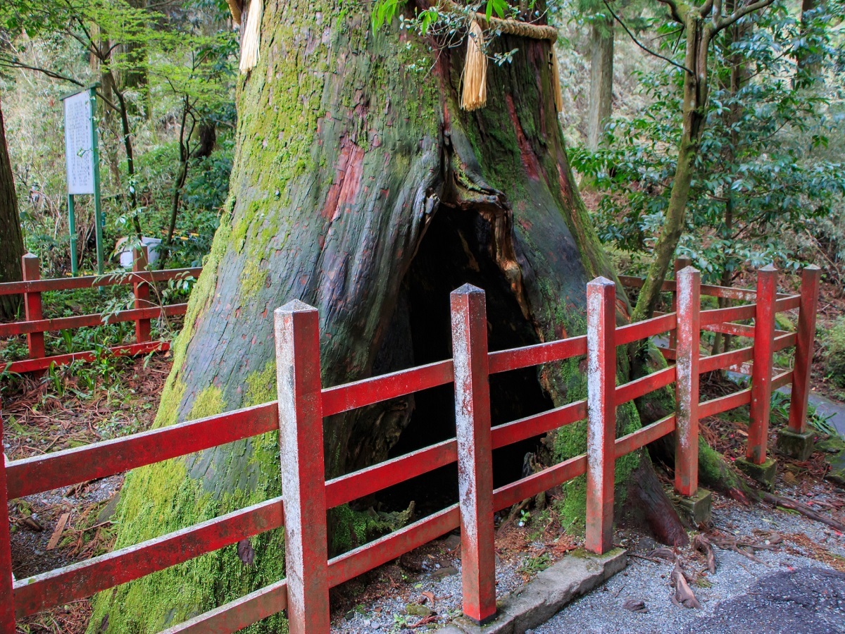 箱根風雅 【マタニティ×７大特典】「安産杉」で安産祈願も！赤ちゃん誕生前に大人だけの時間を＜基本会席★雅＞