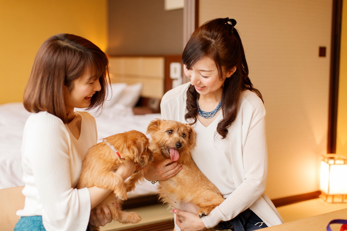 ホテル森の風箱根仙石原 【愛犬と同室宿泊♪】＜ご夕食時間：19:30～21:00＞ご夕食は『季節の創作和食』