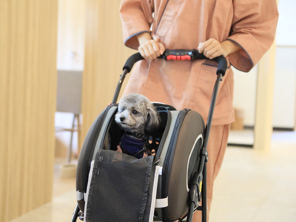 ゆるり箱根withDOGS 【朝食付×ワンちゃん半額】料理長こだわりの朝ごはんでわんちゃんとごちそう旅を満喫＜朝食のみ＞