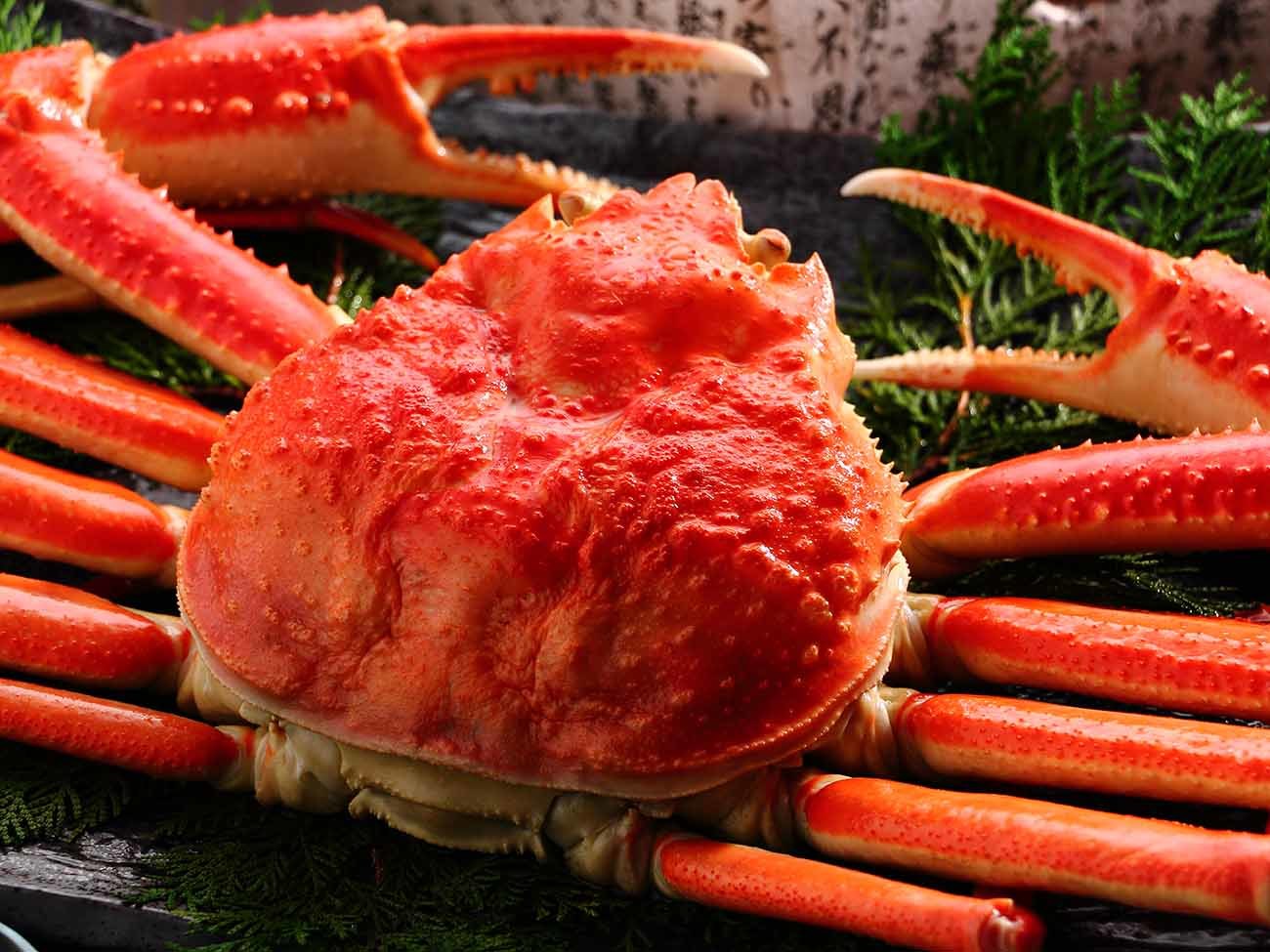 大江戸温泉物語Premium 汐美荘 【グルメプラン】本ズワイガニ姿1杯付1泊2食 基本バイキングプラン