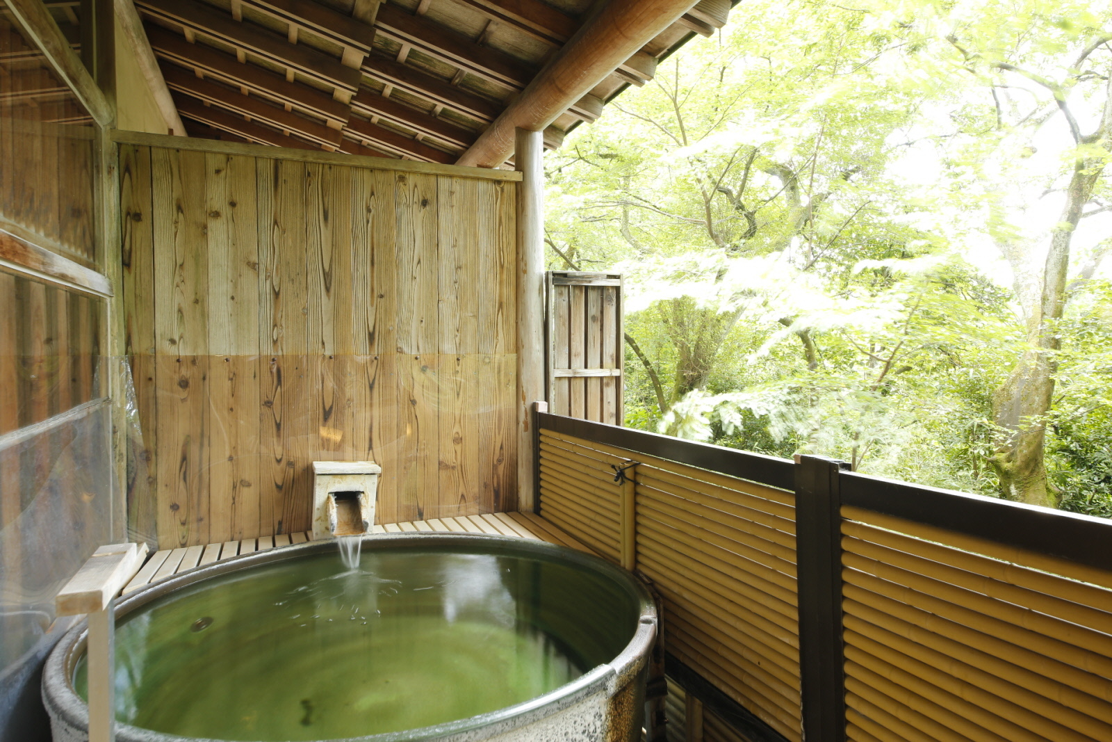 湯の宿 白山菖蒲亭 【素泊り】温泉を満喫♪湯上りはフリードリンクでまったり～22時イン可能◇北陸観光におすすめ