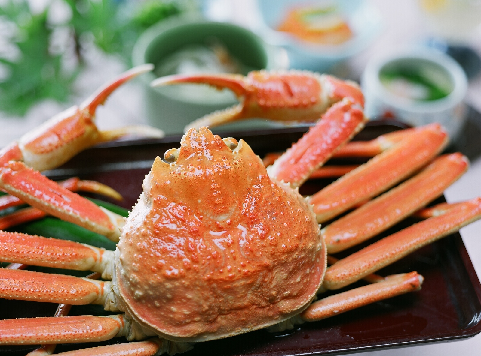 吉田屋山王閣 【行きたい 食べたい 日本海！】タグ付ブランド蟹を食す◆贅沢プラン【温泉露天風呂付き客室or温泉内湯付き客室】