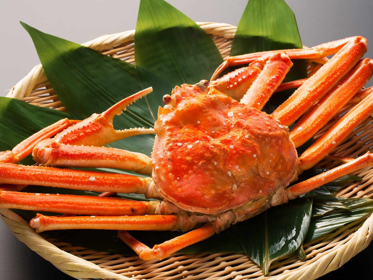 かがり吉祥亭 早期90【蟹一杯付き会席】秋冬の北陸の味覚とともに、まるごと１杯ズワイ蟹を満喫