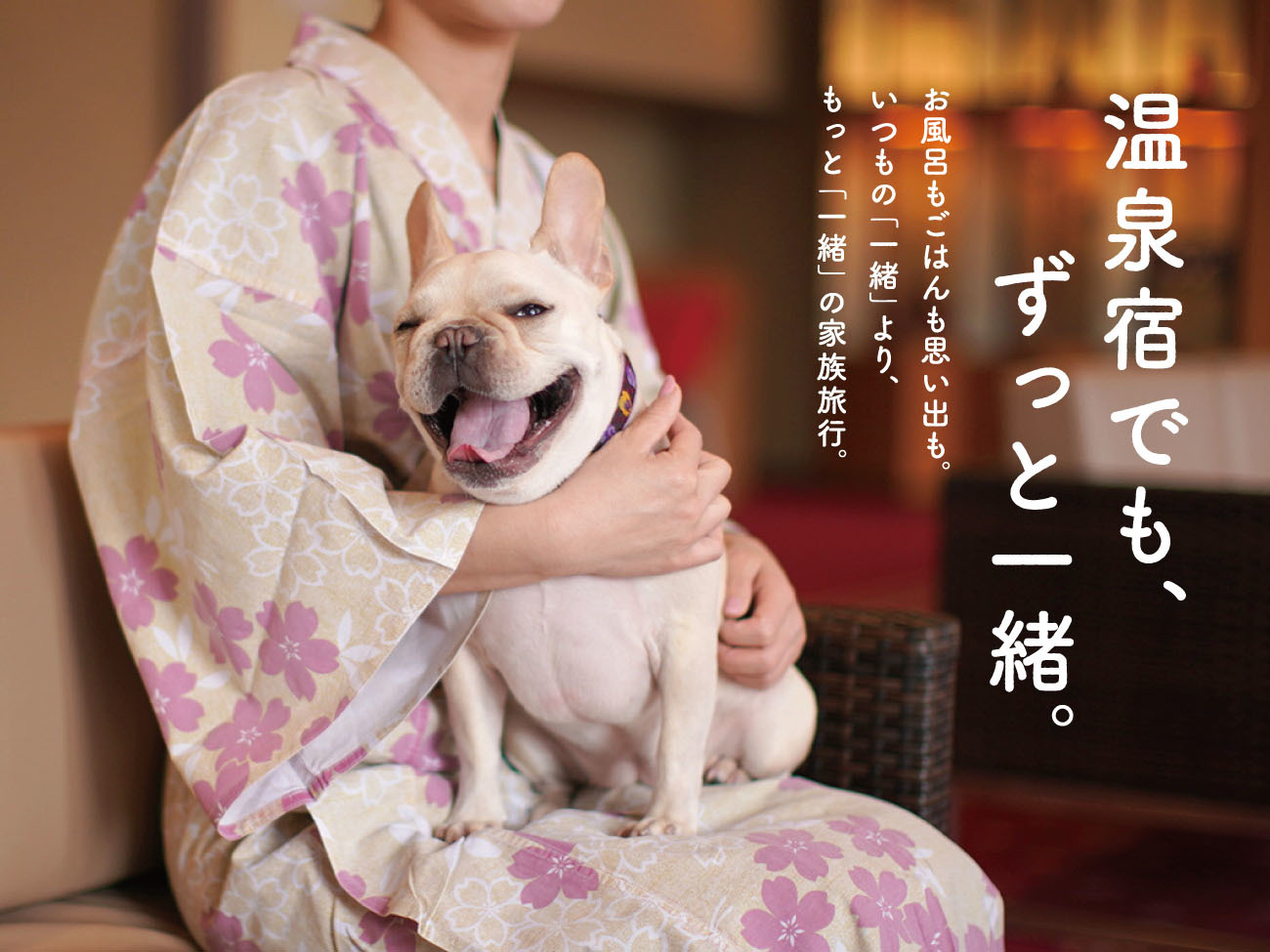 大江戸温泉物語わんわんリゾート 粟津